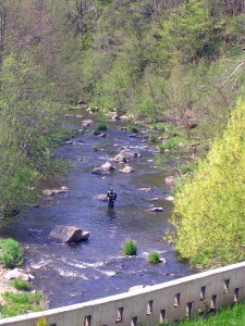 Évènements sportifs dans le Haut-Lignon avec le championnat de pêche à la mouche