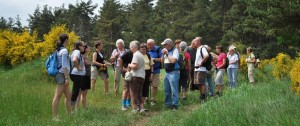 Rando du Haut-Lignon