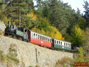 Train touristique "Velay Express"